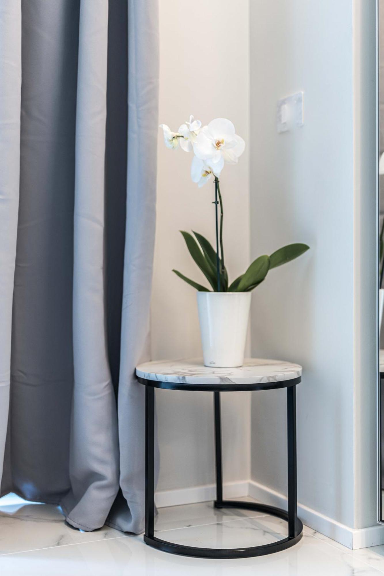 Moscova Luxury New Suite Mediolan Zewnętrze zdjęcie